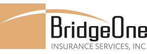 BridgeOne Insurance